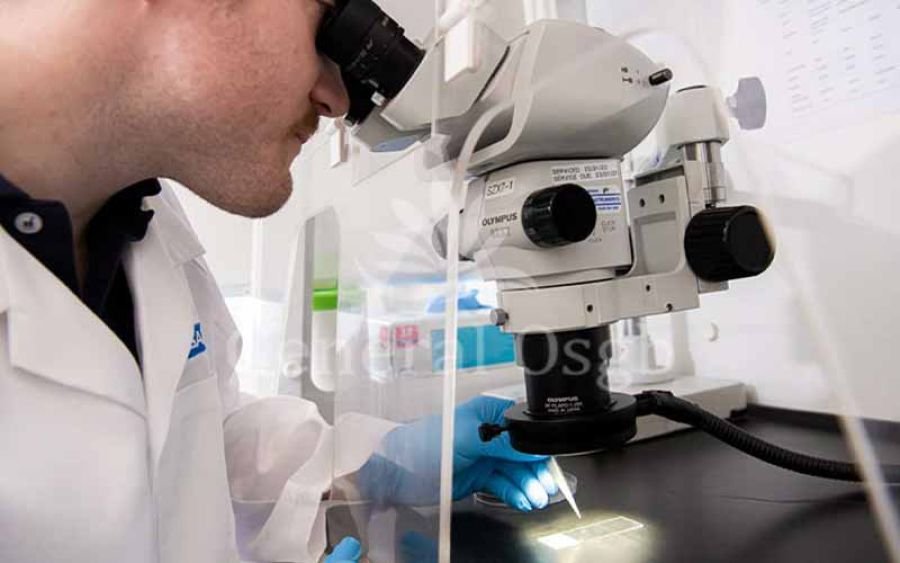 Asbest Analiz Laboratuvar Sonuç - General OSGB